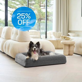 Memory Foam Dog Bed - Polar Fleece Salt Grey Polar Fleece