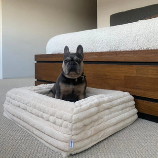Memory Foam Dog Bed Puffer Bone Puffer