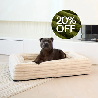 Memory Foam Dog Bed Puffer Bone Puffer