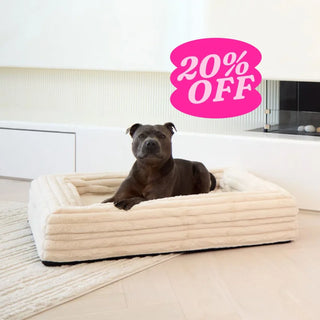 Memory Foam Dog Bed Puffer Bone Puffer