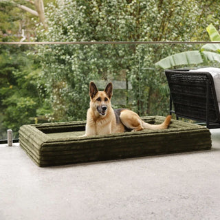 Memory Foam Dog Bed Puffer Fern Puffer