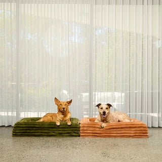 Memory Foam Dog Bed - Puffer Fern Puffer