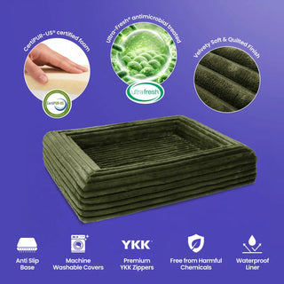 Memory Foam Dog Bed - Puffer Fern - Puffer