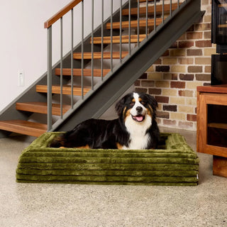 Memory Foam Dog Bed - Puffer Fern Puffer