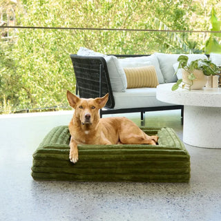 Memory Foam Dog Bed - Puffer Fern S Puffer