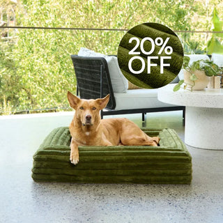 Memory Foam Dog Bed - Puffer Fern S Puffer