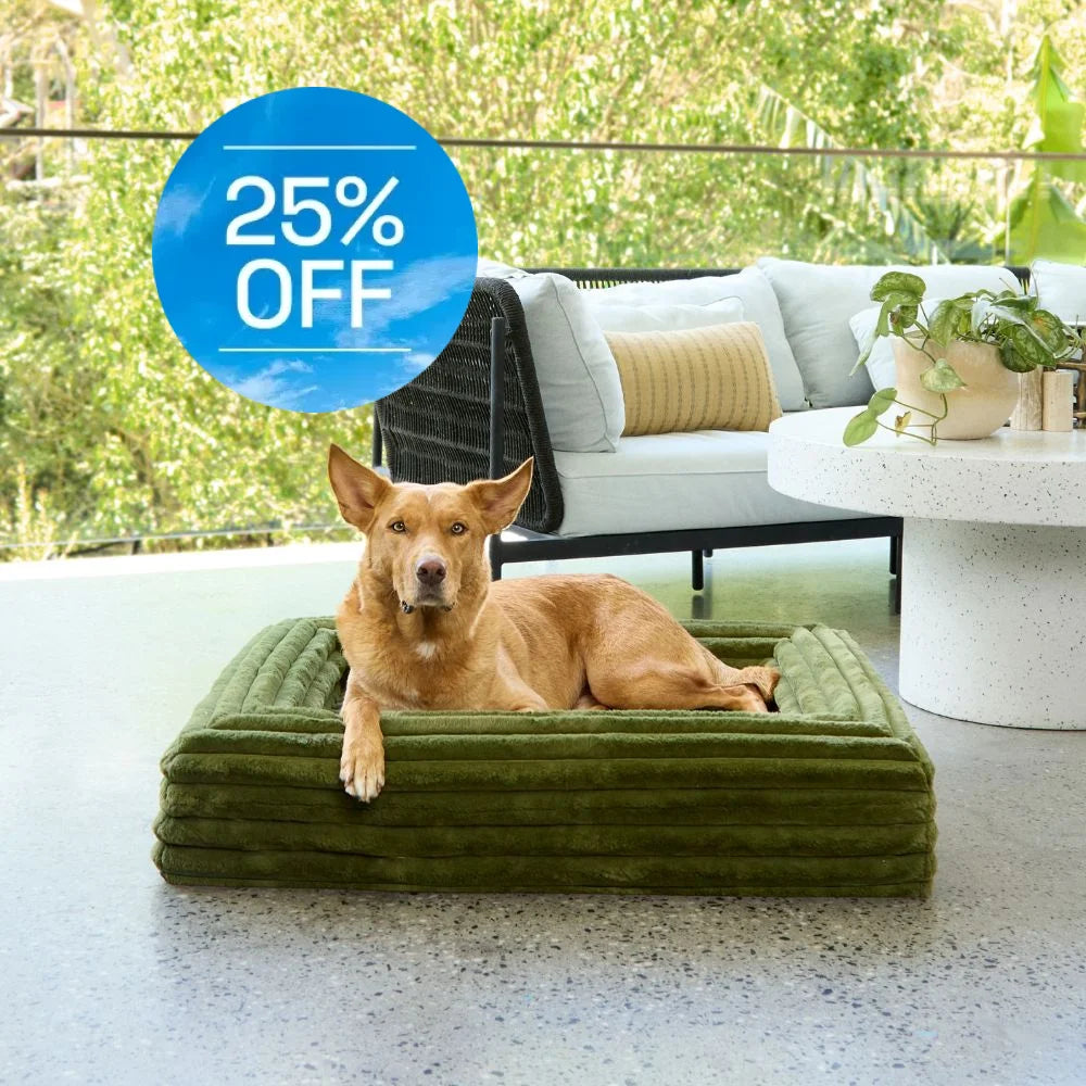 Memory Foam Dog Bed - Puffer Fern S Puffer