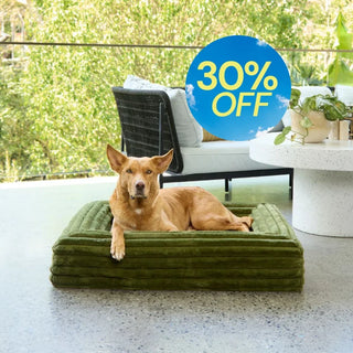 Memory Foam Dog Bed - Puffer Fern S Puffer