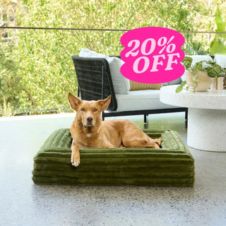 Memory Foam Dog Bed - Puffer Fern S Puffer