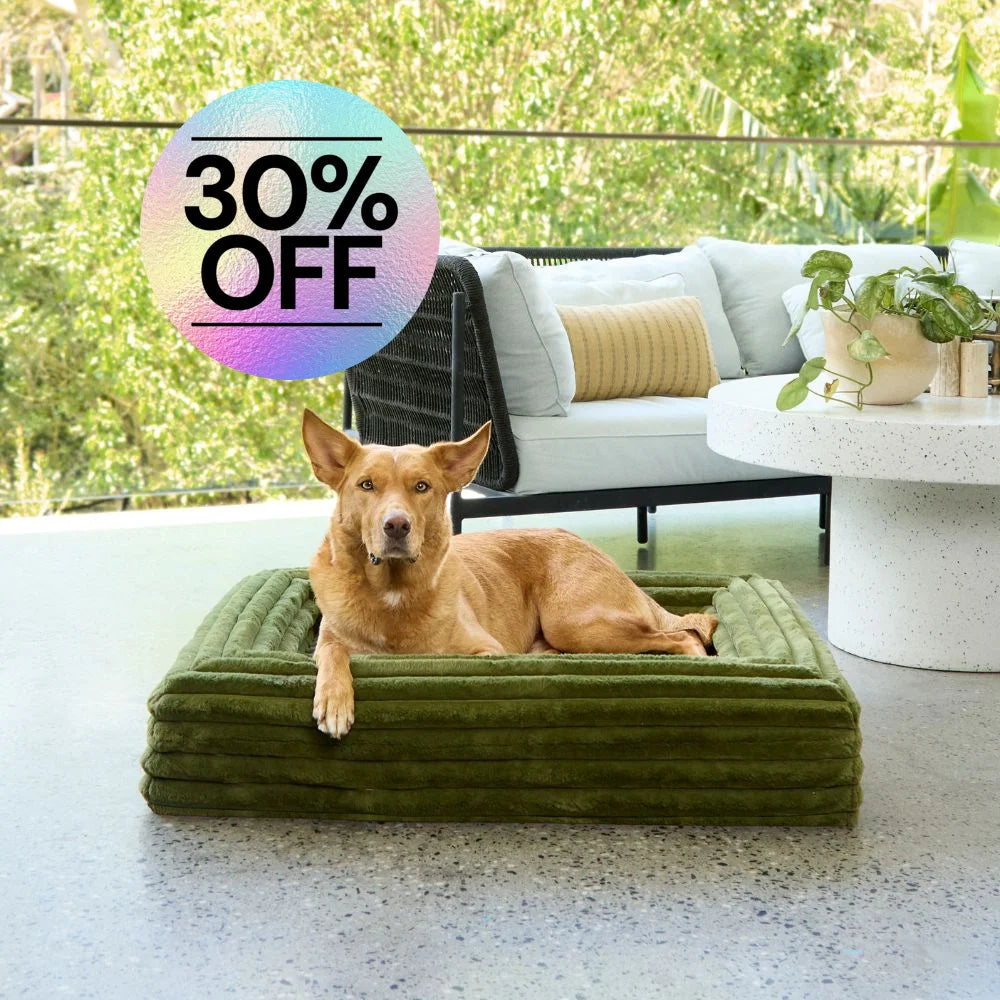 Memory Foam Dog Bed - Puffer Fern S Puffer