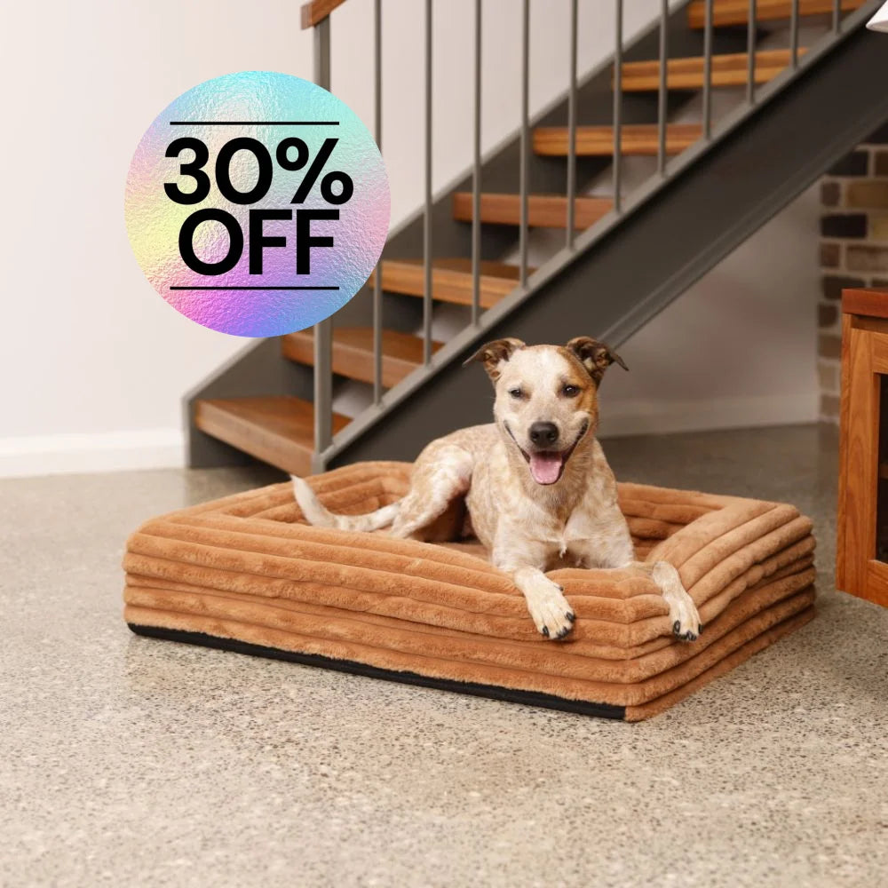 Memory Foam Dog Bed Puffer Nutmeg Puffer