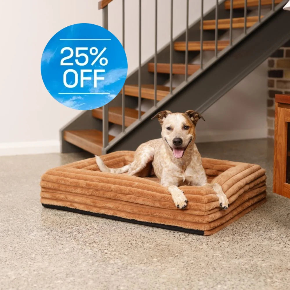 Memory Foam Dog Bed Puffer Nutmeg Puffer