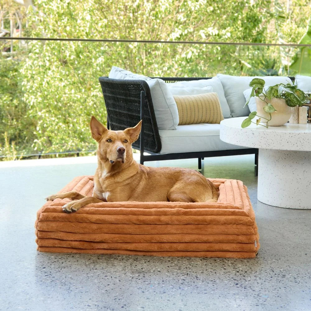 Memory Foam Dog Bed - Puffer Nutmeg Puffer