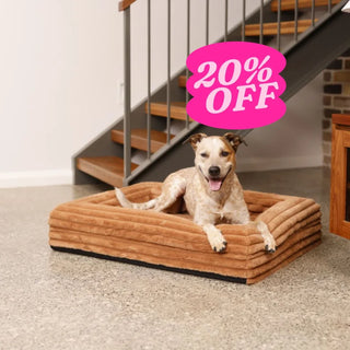 Memory Foam Dog Bed Puffer Nutmeg Puffer