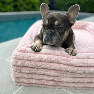 Memory Foam Dog Bed Puffer Rosewater Puffer