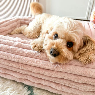 Memory Foam Dog Bed Puffer Rosewater Puffer