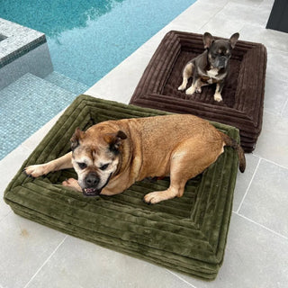 Memory Foam Dog Bed Puffer Truffle Puffer
