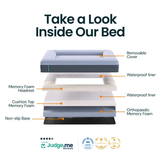 Memory Foam Dog Bed - Puffer Truffle Puffer