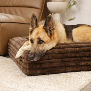 Memory Foam Dog Bed Puffer Truffle Puffer