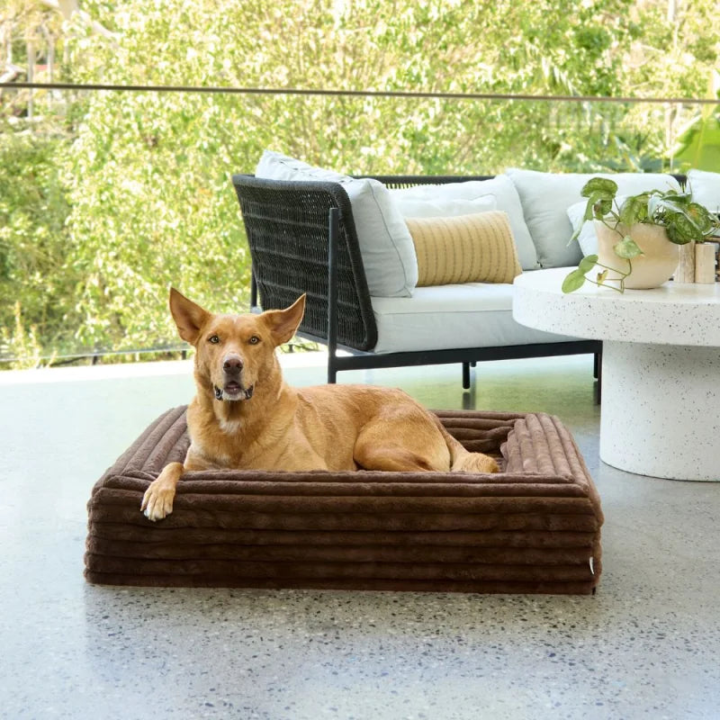 Memory Foam Dog Bed - Puffer Truffle S Puffer