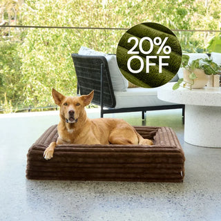 Memory Foam Dog Bed - Puffer Truffle S Puffer