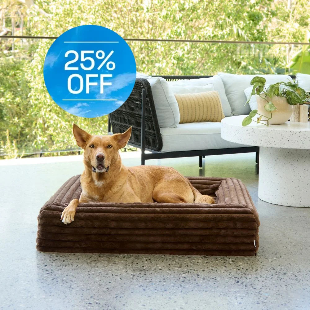 Memory Foam Dog Bed - Puffer Truffle S Puffer