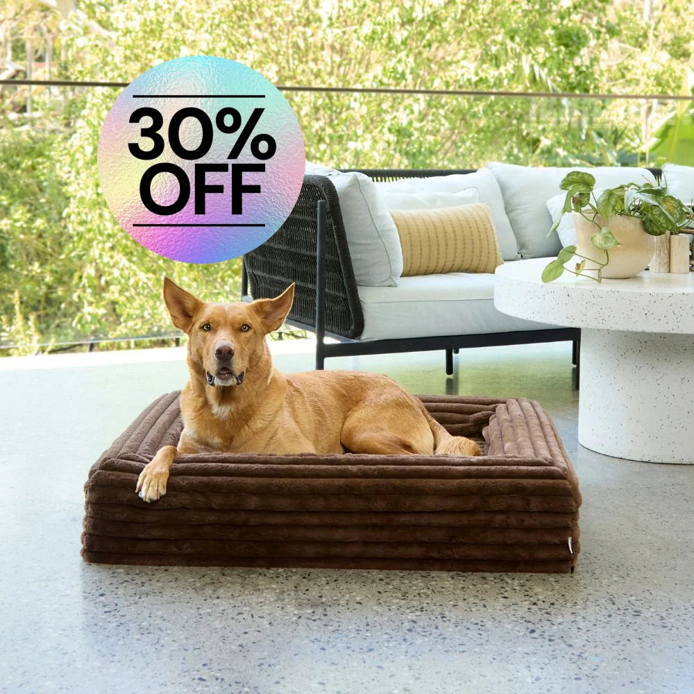 Memory Foam Dog Bed - Puffer Truffle S Puffer