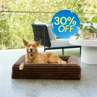 Memory Foam Dog Bed - Puffer Truffle S Puffer