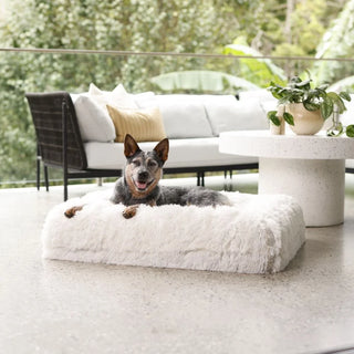 Memory Foam Dog Bed Shag Cream Shag