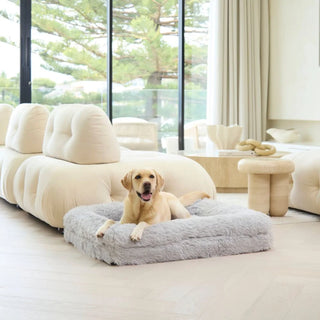 Memory Foam Dog Bed Shag Grey Shag