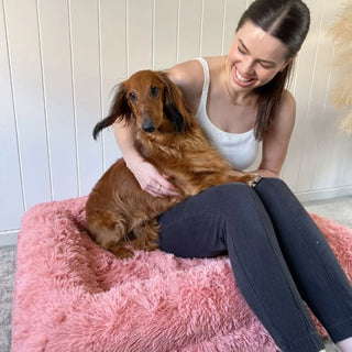 Memory Foam Dog Bed Shag Pink Shag
