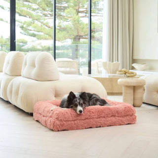 Memory Foam Dog Bed Shag Pink Shag