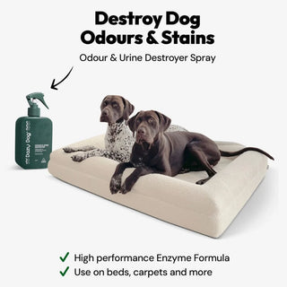 Odour & Urine Destroyer Bed Accessories