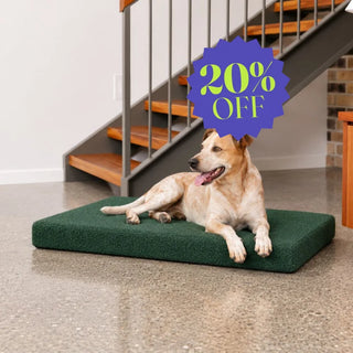 Orthopaedic Mattress - Bouclé Forest Green - Bouclé