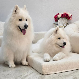 Orthopaedic Mattress - Bouclé Ivory - Bouclé