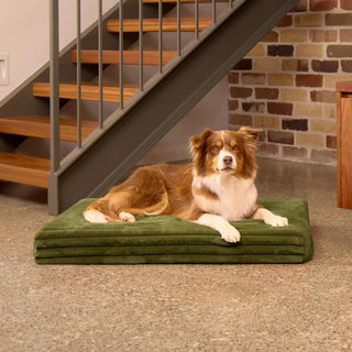 Orthopaedic Mattress - Puffer Fern - Puffer