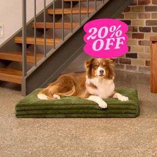 Orthopaedic Mattress - Puffer Fern - Puffer