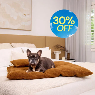 Polar Fleece Lounger - Golden Brown
