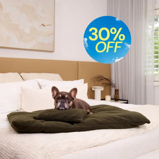 Polar Fleece Lounger - Olive