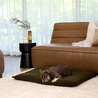 Polar Fleece Lounger - Olive