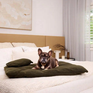 Polar Fleece Pillow Olive One Size