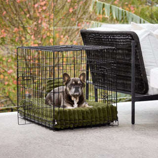 Puffer Crate Mat For Dogs in Fern Green