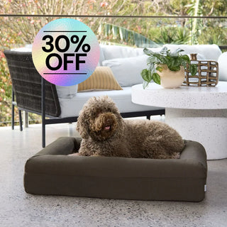 Quick Cover Cooling Seaweed Quick Cover: Cooling