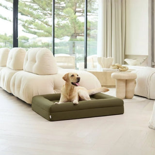 Rectangle Bed Cotton Fitted Sheet Quick Cover in Khaki Green