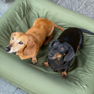 Quick Cover - Cotton Fitted Sheet Khaki Quick Cover: Cotton Sheet