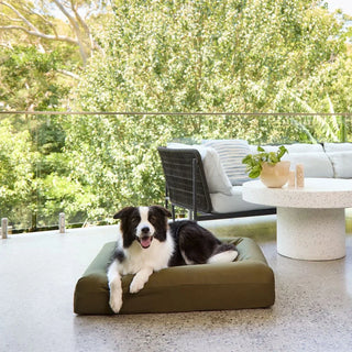 2 for $100 Quick Covers Size Medium