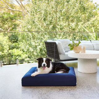 Quick Cover - Cotton Fitted Sheet Navy Quick Cover: Cotton Sheet