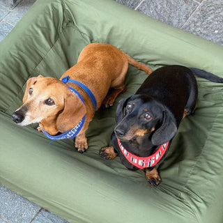 Rectangle Bed Cotton Fitted Sheet Quick Cover in Khaki Green