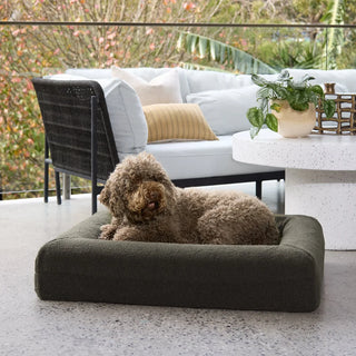 Dazy Dog Quick Cover Polar Fleece in Olive Green