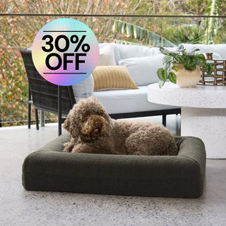 Dazy Dog Quick Cover Polar Fleece in Olive Green